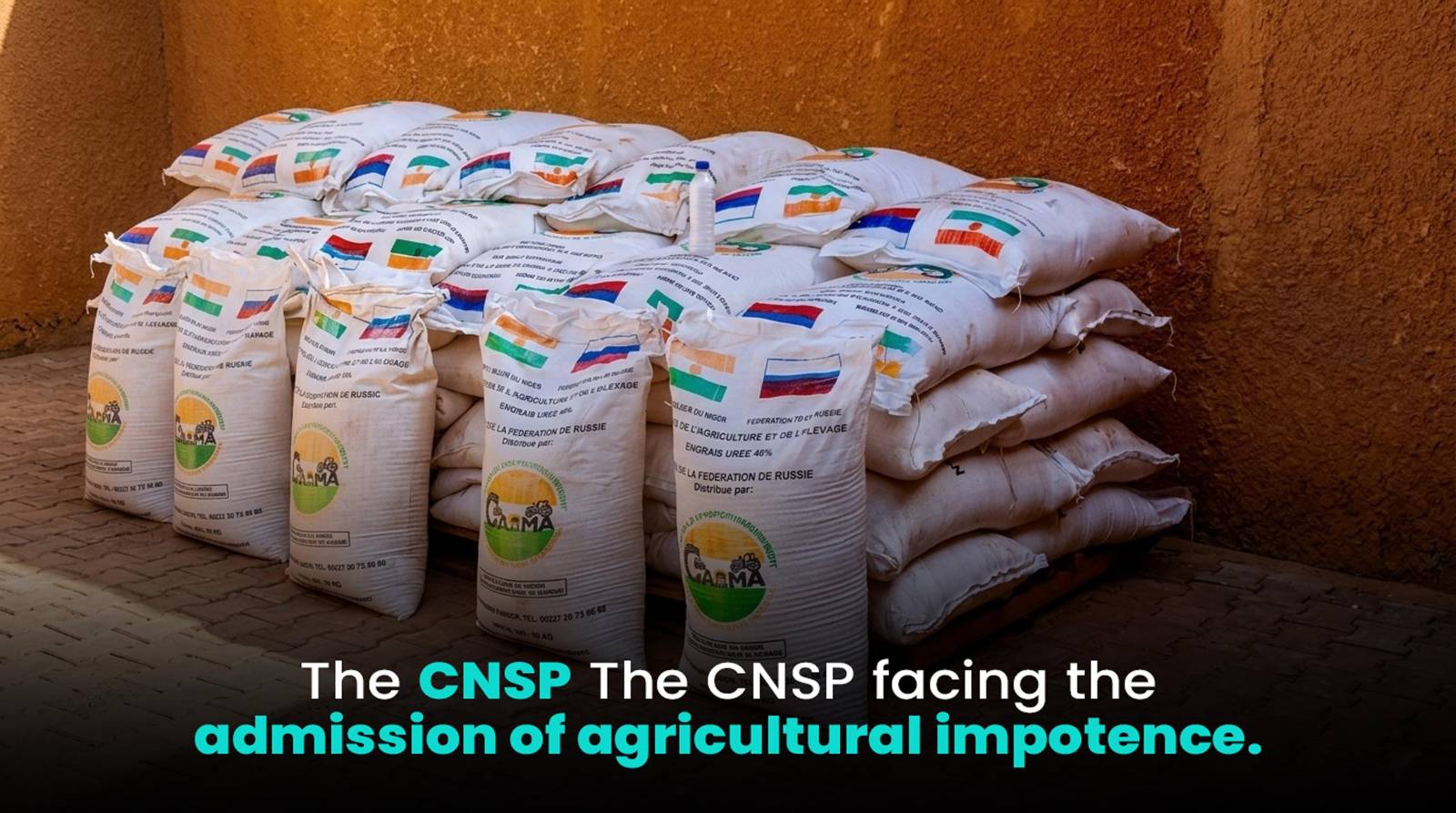 Niger’s food aid dilemma: balancing sovereignty with russian support