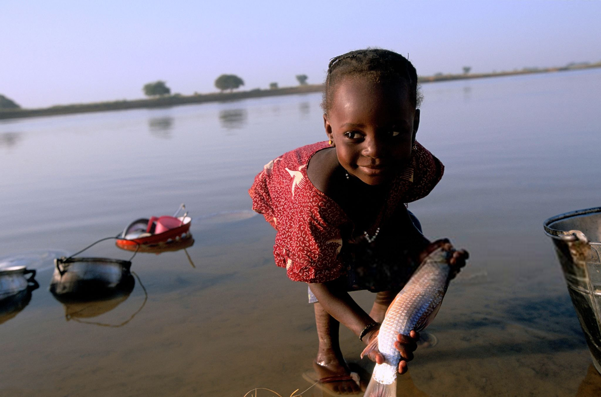 Niger makes history as the first african nation to eradicate river blindness
