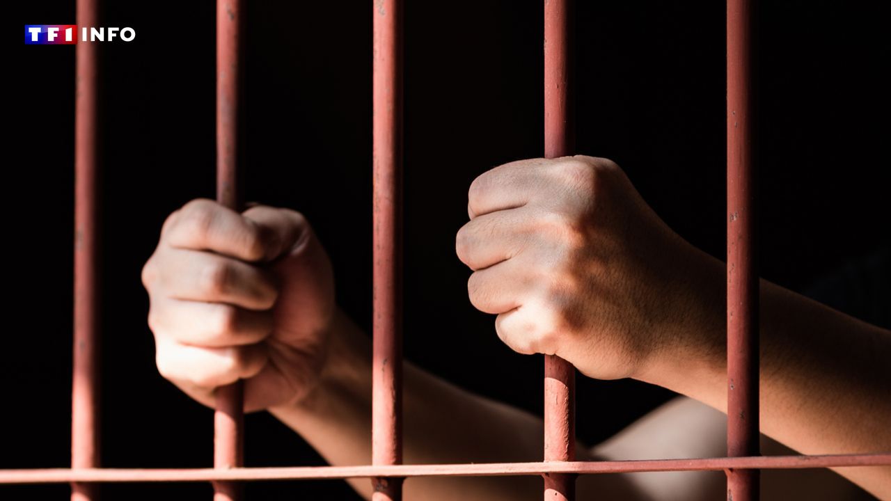 Senegal’s anti-lgbt+ law: a french national’s detention sparks human rights concerns