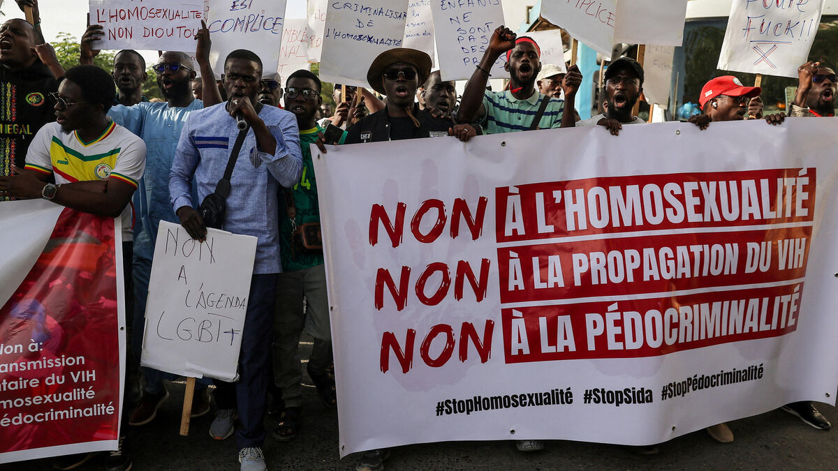 French engineer detained in Senegal over homosexuality amid legal crackdown