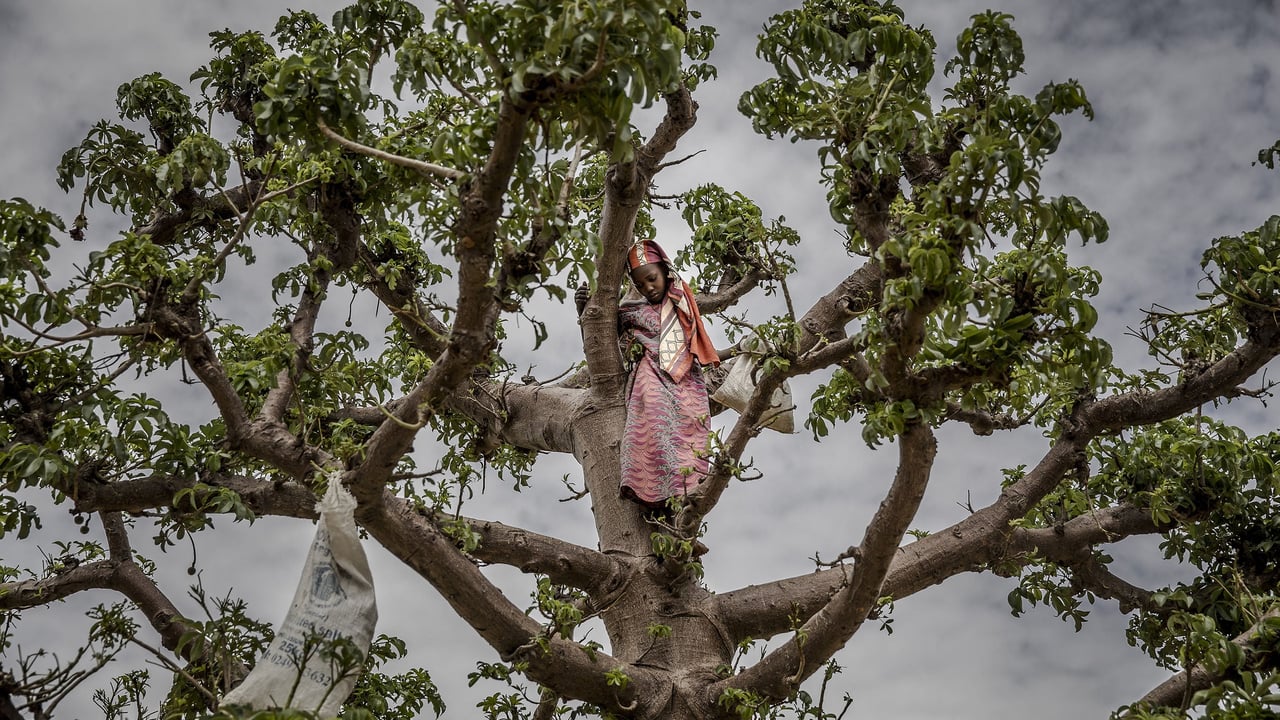 Niger’s severe economic crisis: a generation’s struggle with hunger