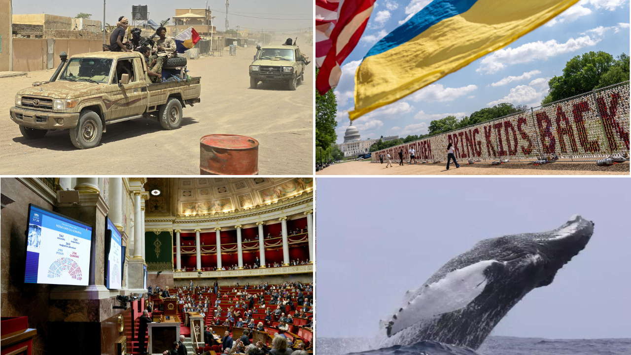 Mali: exploring the deepening ties between Jnim and FLA amid uncertainty