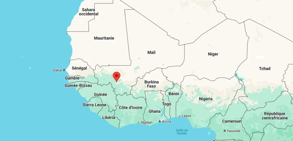 protests in Bamako against potential ban on political parties in Mali