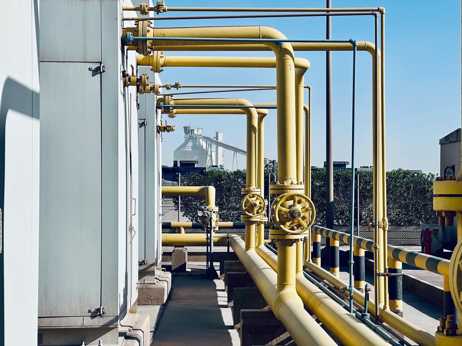 Niger and Algeria forge strategic energy partnership
