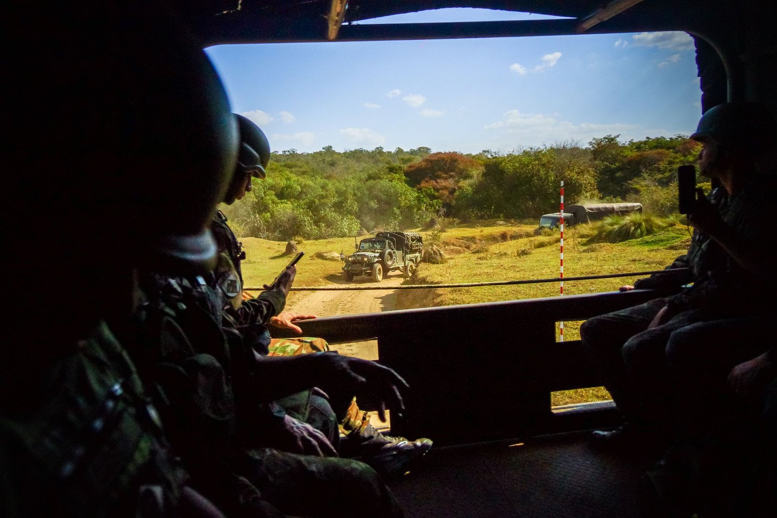 Mali tightens grip on forests to combat jihadist threats