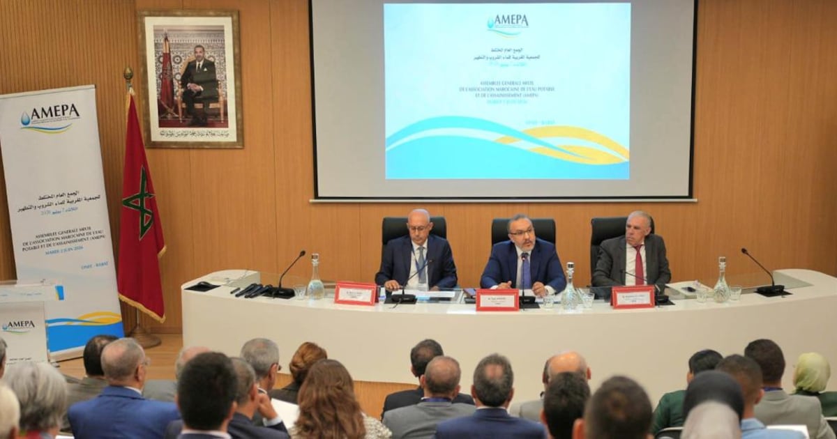 Tarik Hamane takes helm of Morocco water association for four-year term