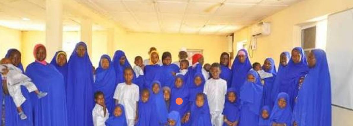 Nigerian military liberates 47 hostages from iswap in borno state offensive
