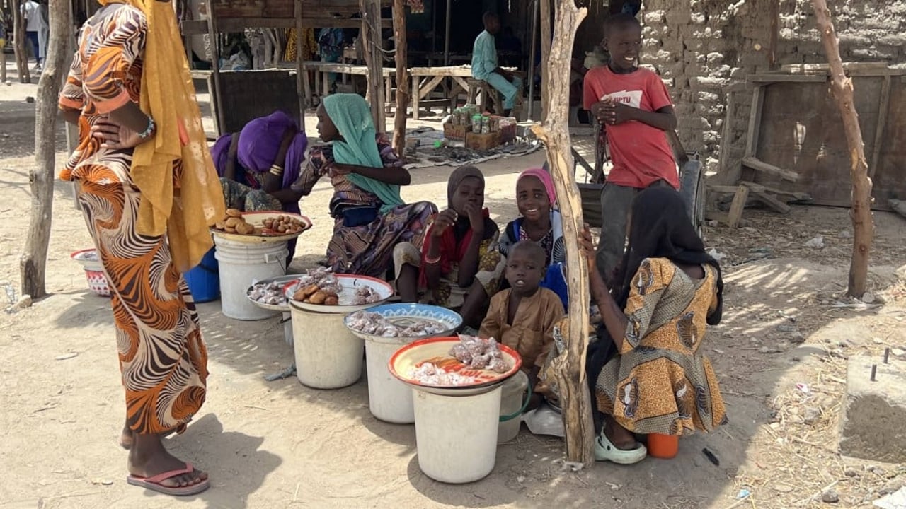 Nigeria: boko haram frees hundreds of captives amidst ongoing insurgency
