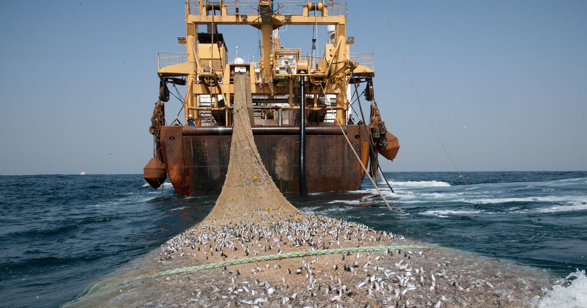 Gabon seeks fairer fishing terms from european union