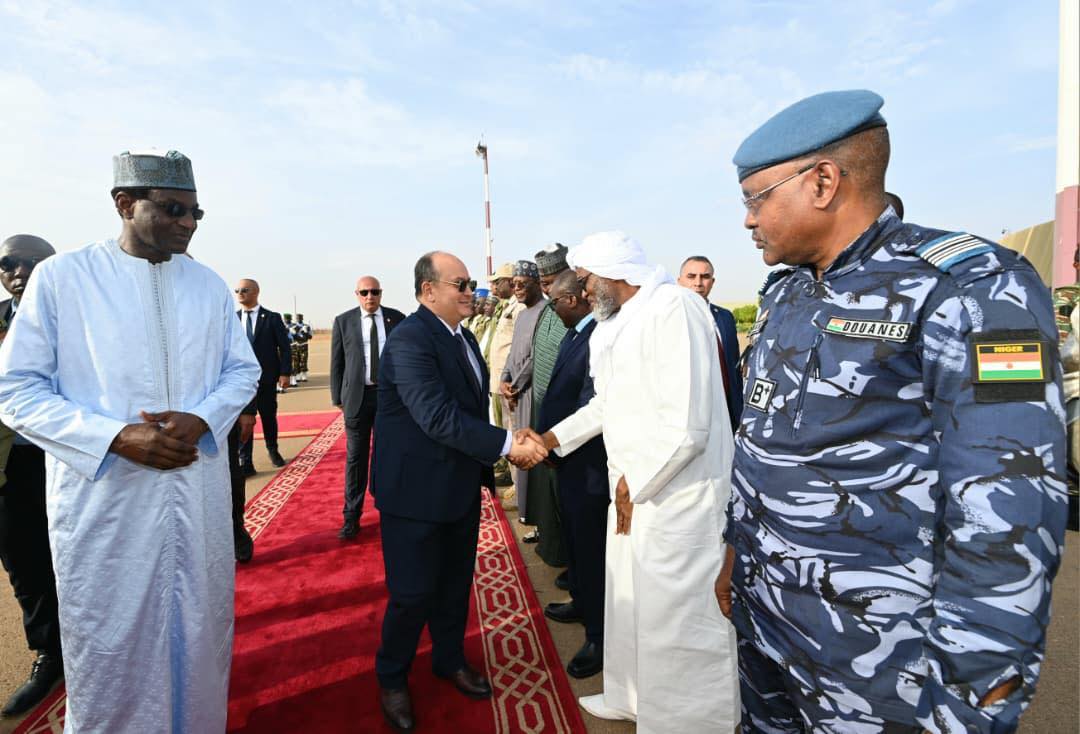 Niger: prime minister oversees launch of solidarity power plant in Niamey