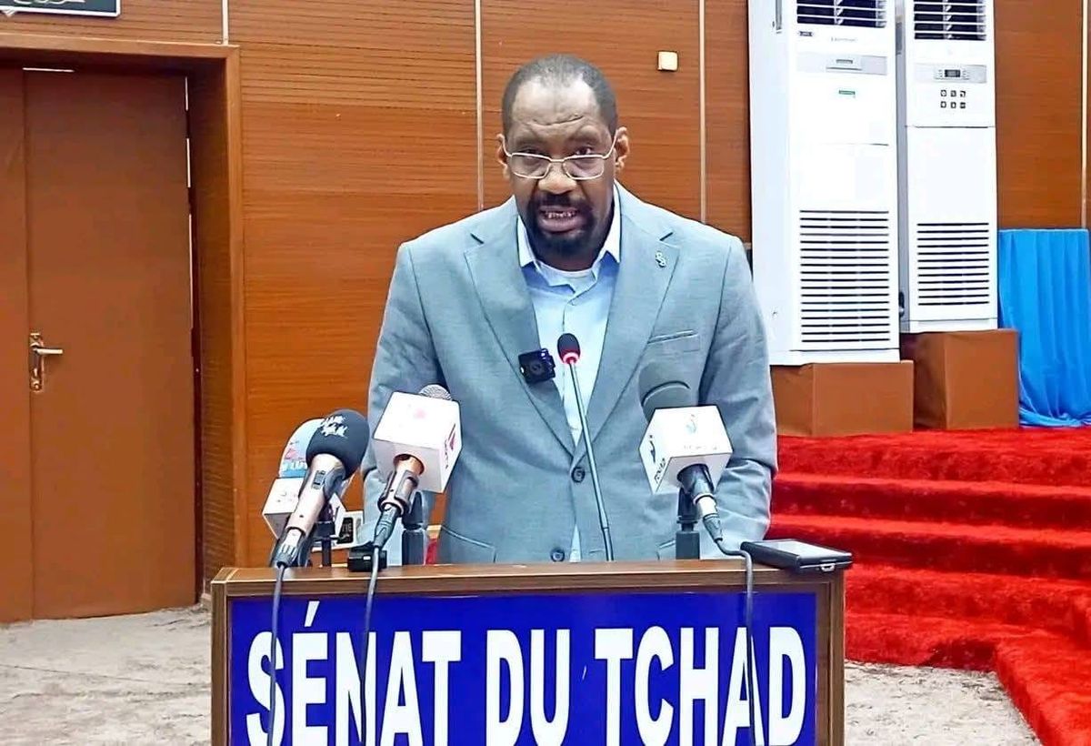 Chad security minister addresses intercommunal conflict challenges