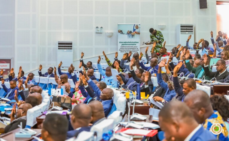 Togolese National Assembly session