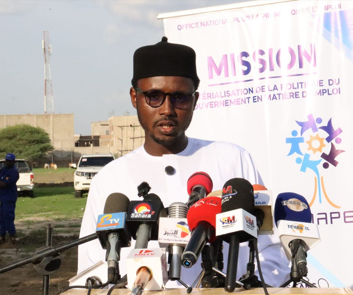 N’Djamena boosts youth employment with green jobs in Chad