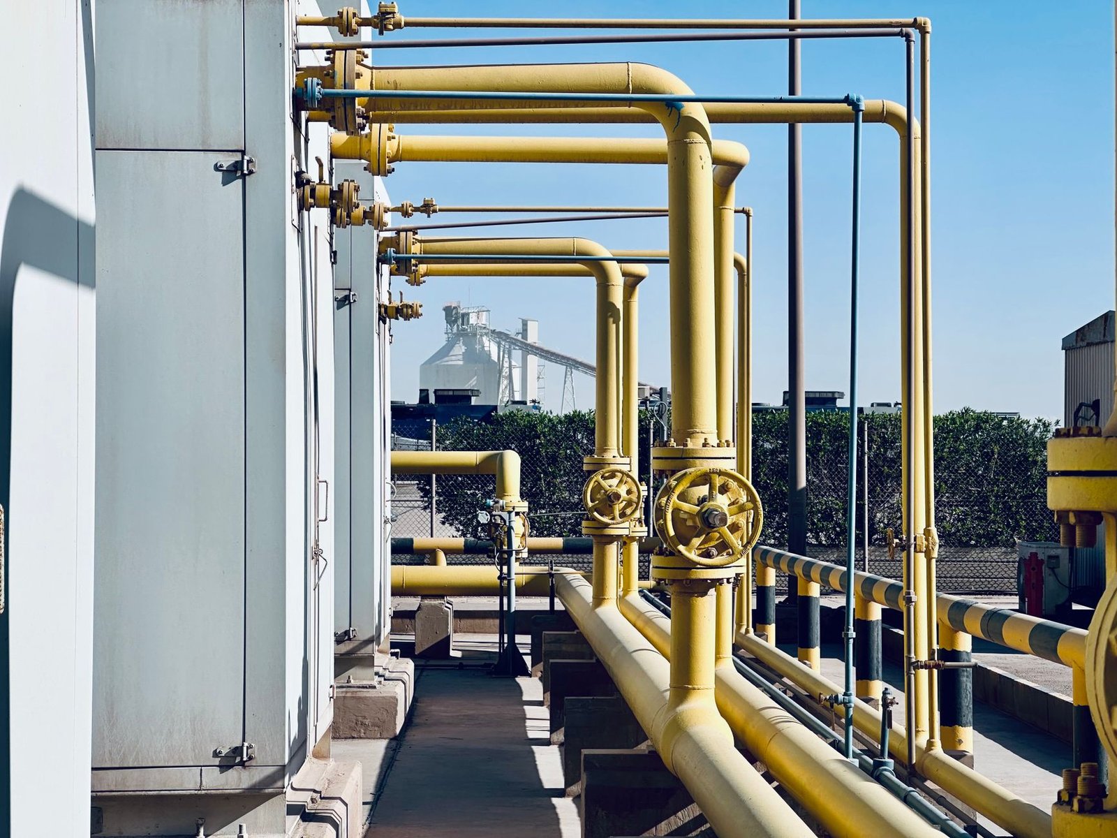 Senegal and Algeria forge strategic energy partnership
