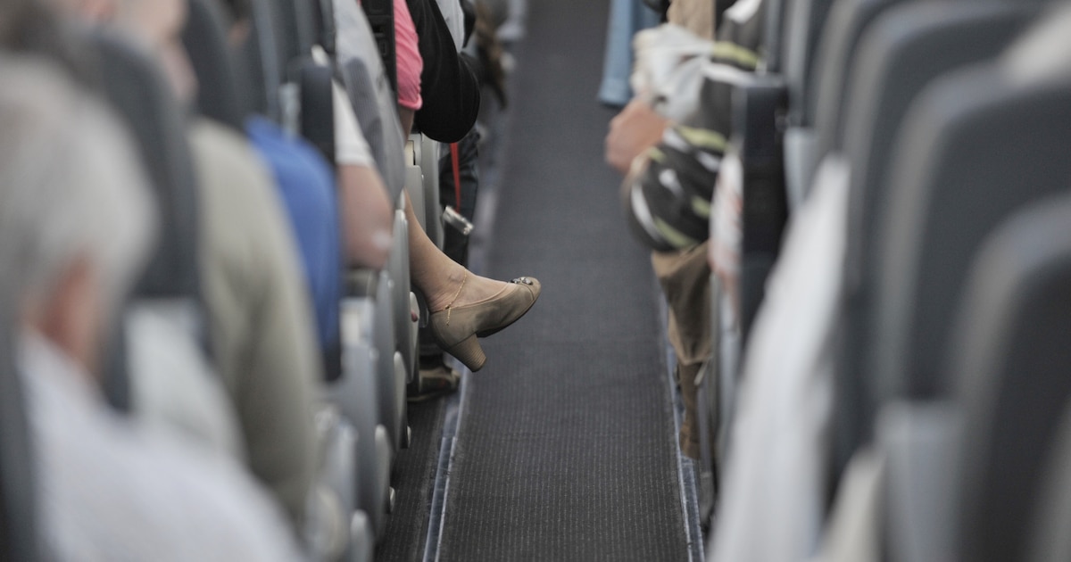 Pilot mistakenly announces wrong world cup winner during flight