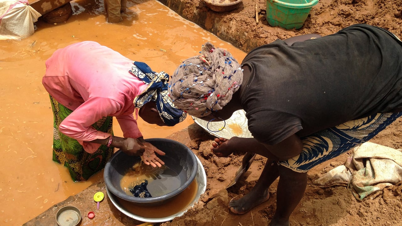 Cameroon’s phantom gold: billions slipping from state grasp