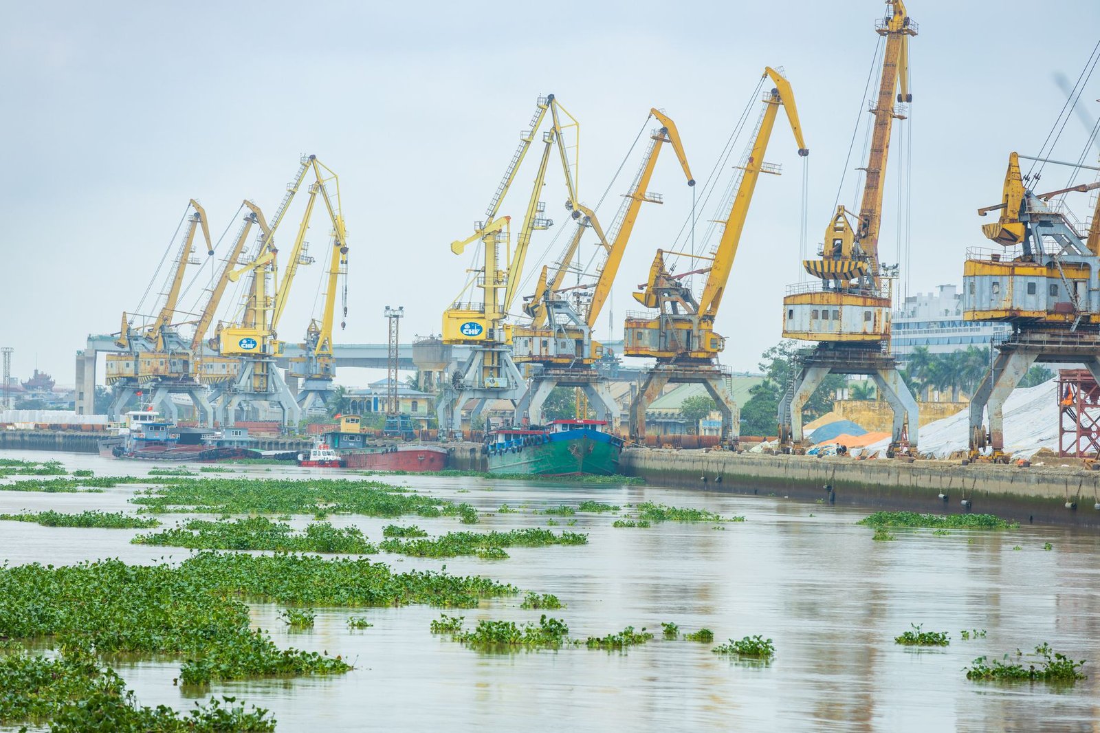 Cameroon slashes eu import tariffs by 70% under economic partnership deal