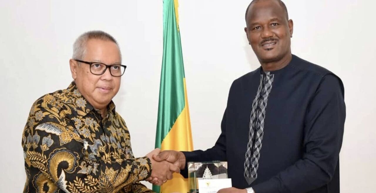 Senegal’s palm oil plan with Indonesia: what 60,000 hectares really means for households and businesses