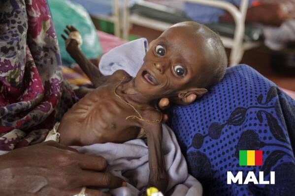Mali’s hunger crisis: what happens to 25 million people if the 73.6 million dollar lifeline disappears?