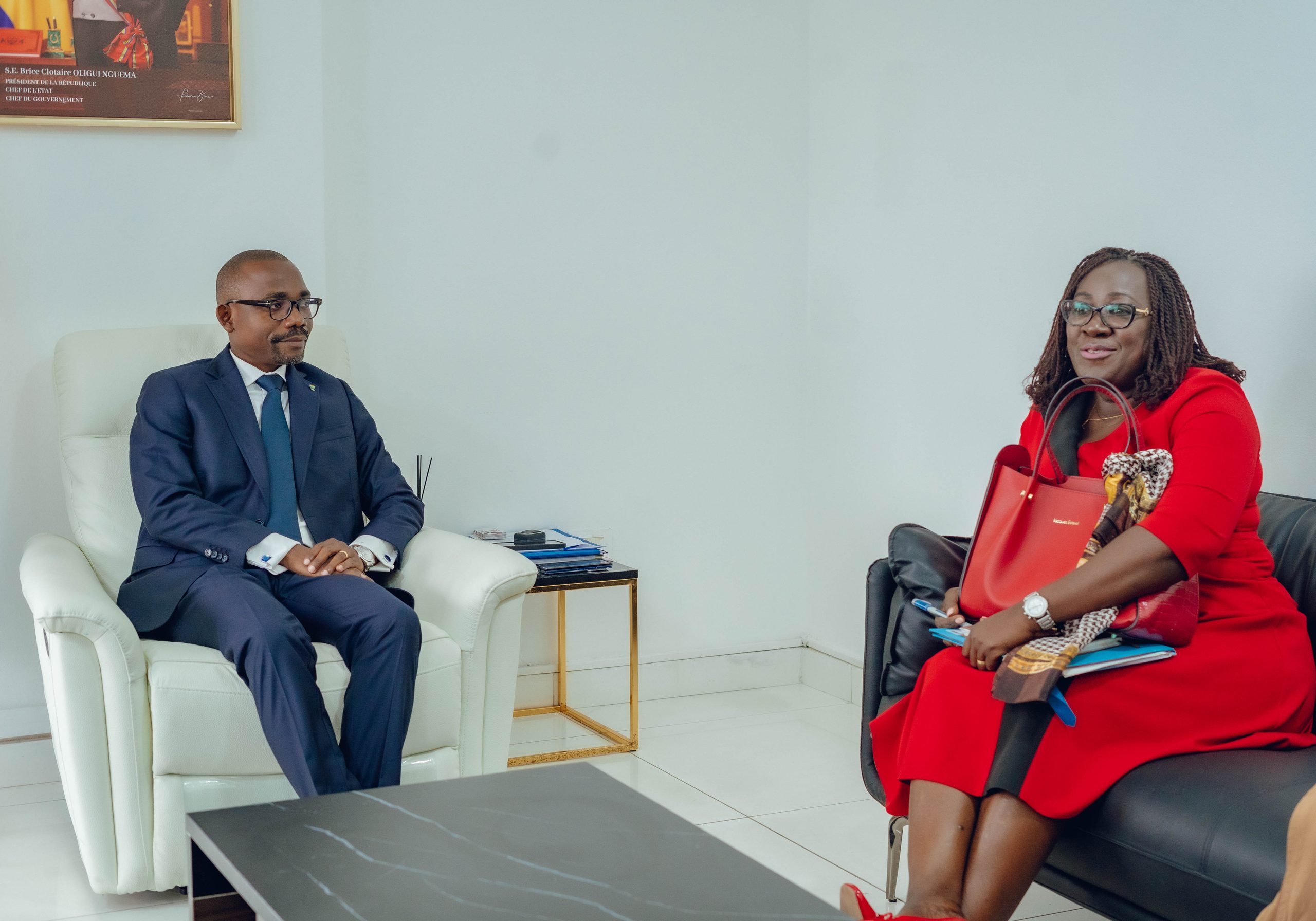 Gabon’s land digitisation talks stall amid Gabon Digital uncertainty