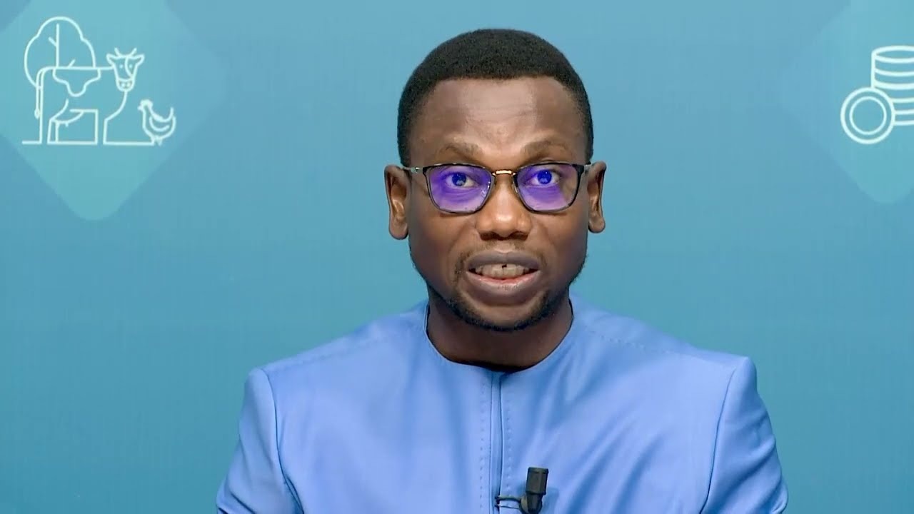 Benin launches 14 health centers and Ouidah maternity upgrade to bridge rural care gap