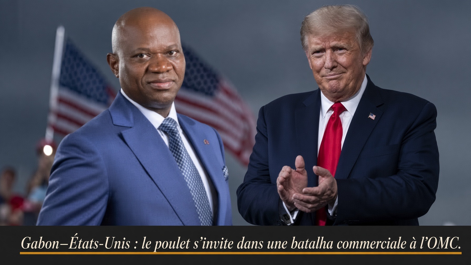 Gabon’s poultry import ban under WTO scrutiny as 2027 deadline looms